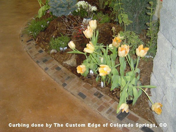 Curbing done by The Custom Edge of Colorado Springs, CO